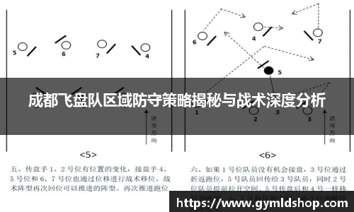 成都飞盘队区域防守策略揭秘与战术深度分析